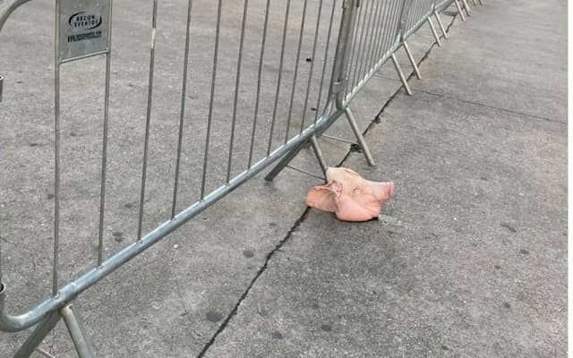 Cabeça de porco é deixada na entrada do Allianz Parque antes do Dérbi