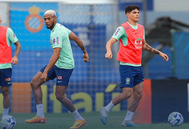 O que Joelinton e Ayrton Lucas podem agregar à seleção brasileira