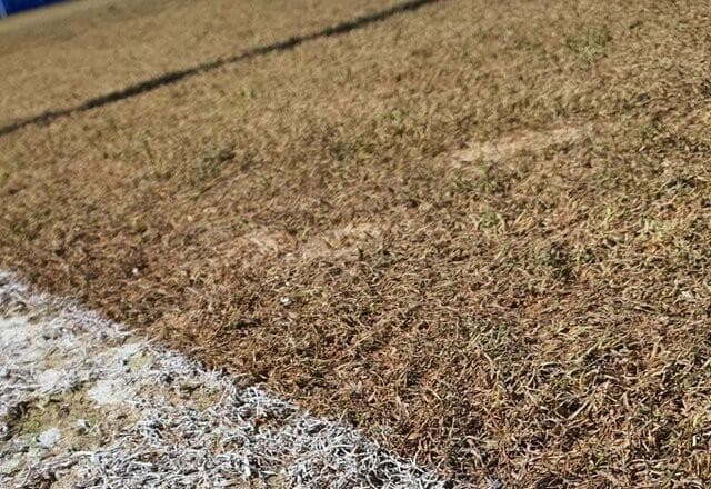Gramado do José Amalfitani vira motivo de polêmica antes de Vélez x Flamengo