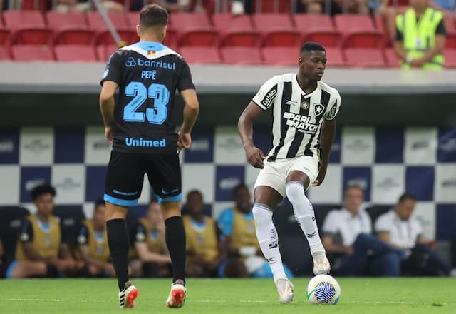 Botafogo empata com Grêmio e vê Palmeiras encostar na liderança do Brasileirão