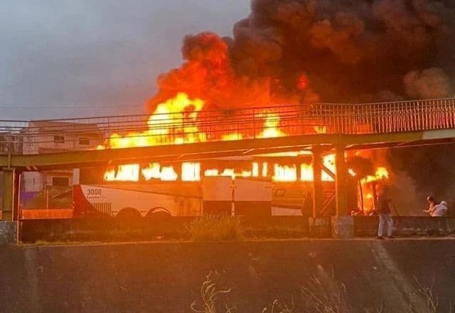 MP proíbe torcida organizada do Palmeiras de entrar em estádios de São Paulo