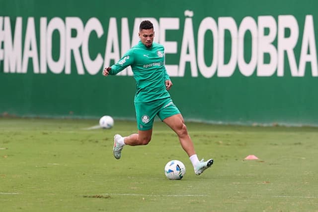 Palmeiras adota cautela com Paulinho, enquanto Weverton se aproxima do retorno