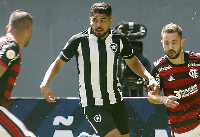 Imagem da noticia Botafogo bate Flamengo, quebra jejum e deixa rival para trás no Brasileirão
