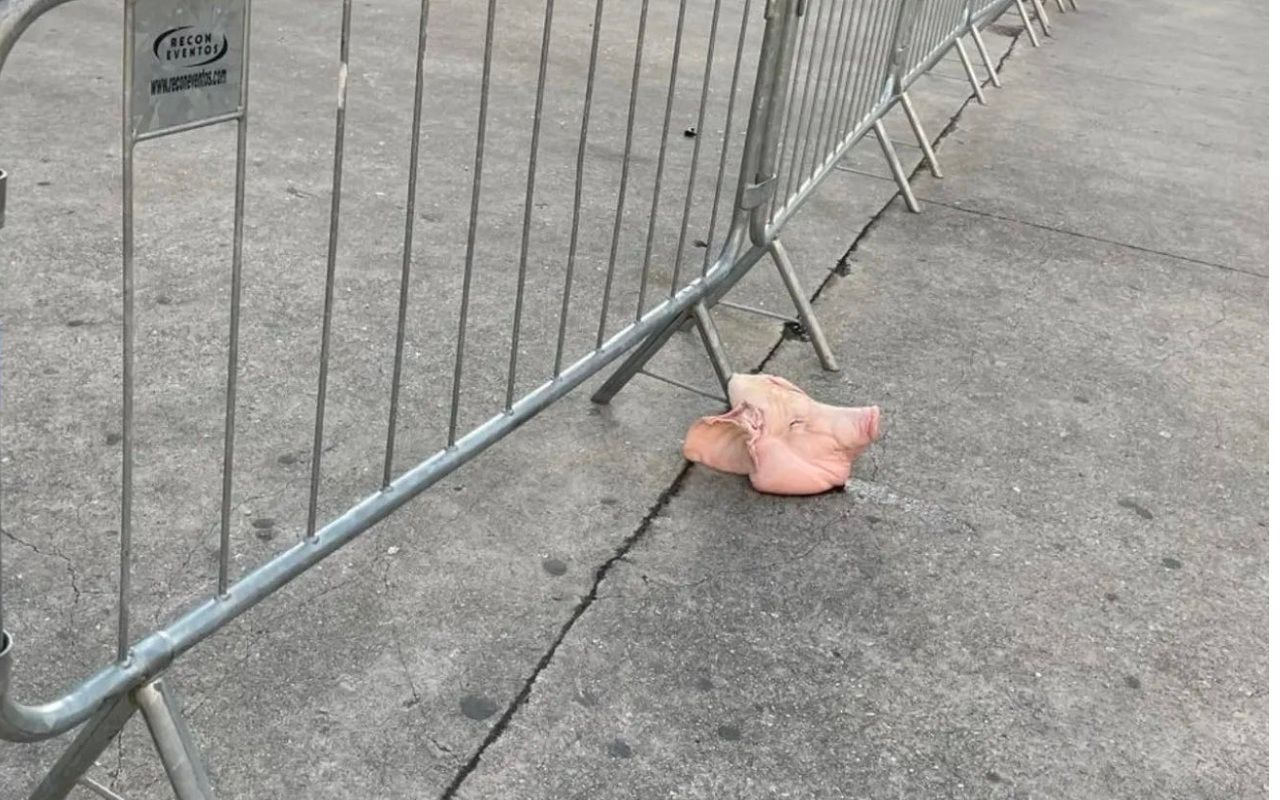 Imagem da noticia Cabeça de porco é deixada na entrada do Allianz Parque antes do Dérbi