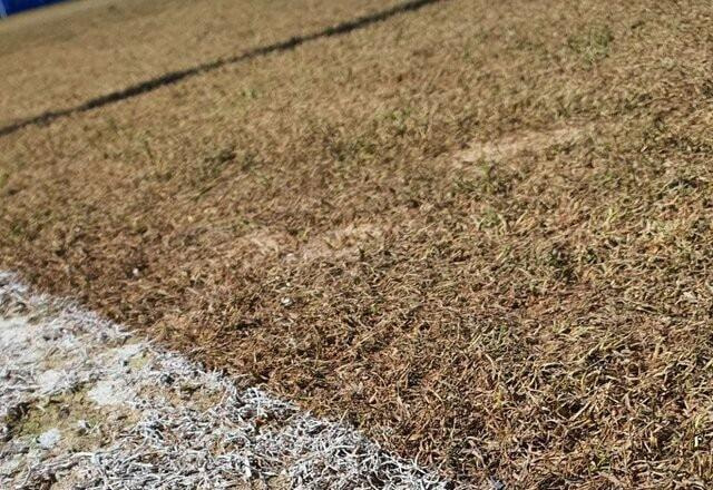 Imagem da noticia Gramado do José Amalfitani vira motivo de polêmica antes de Vélez x Flamengo