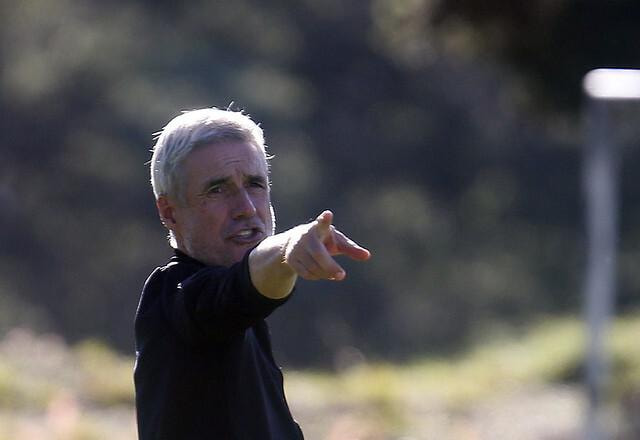 Imagem da noticia Botafogo: Al Nassr faz proposta para Luís Castro, revela site português