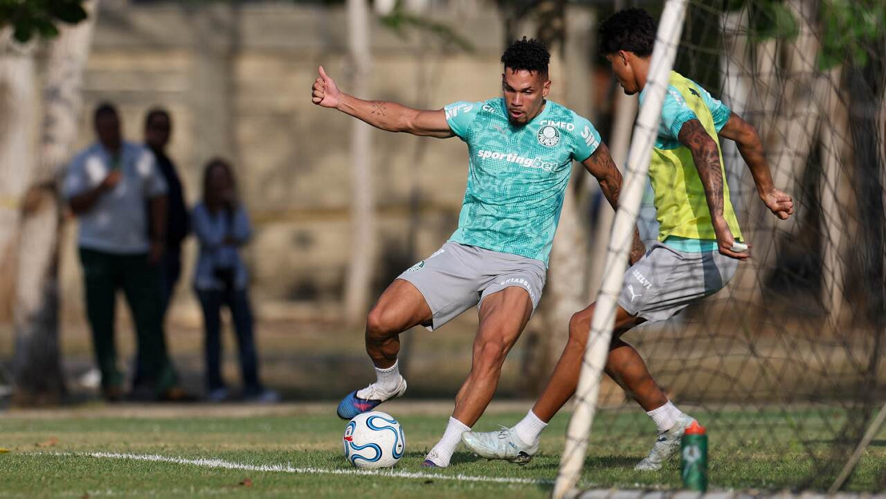 Imagem da noticia Paulinho volta a treinar e anima Palmeiras na Libertadores
