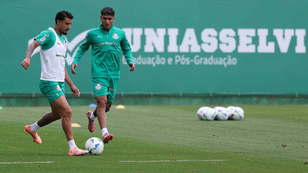 Imagem da noticia Palmeiras se reapresenta e inicia preparação para enfrentar a LDU