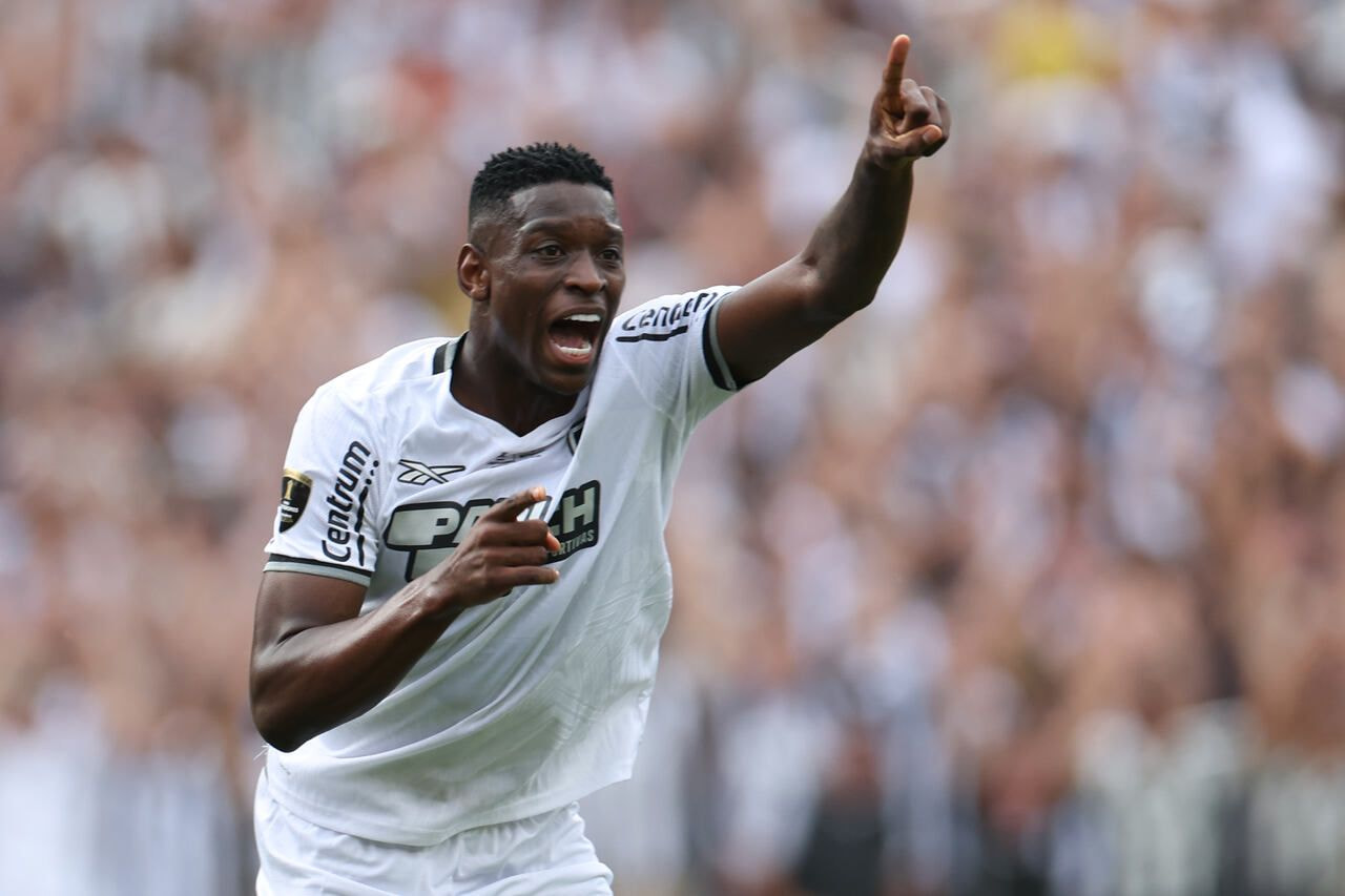 Imagem da noticia Botafogo é condenado pela FIFA e pode sofrer novo transfer ban