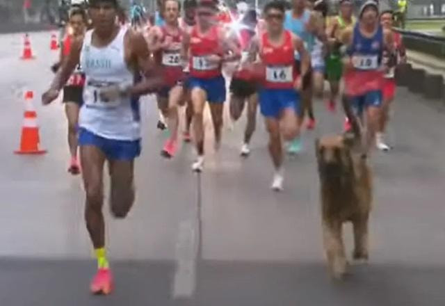 Imagem da noticia Cachorro invade maratona e corre ao lado de corredor brasileiro no Pan