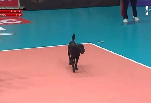 Imagem da noticia VÍDEO: cachorro invade quadra e interrompe jogo do Brasil sub-17 de vôlei