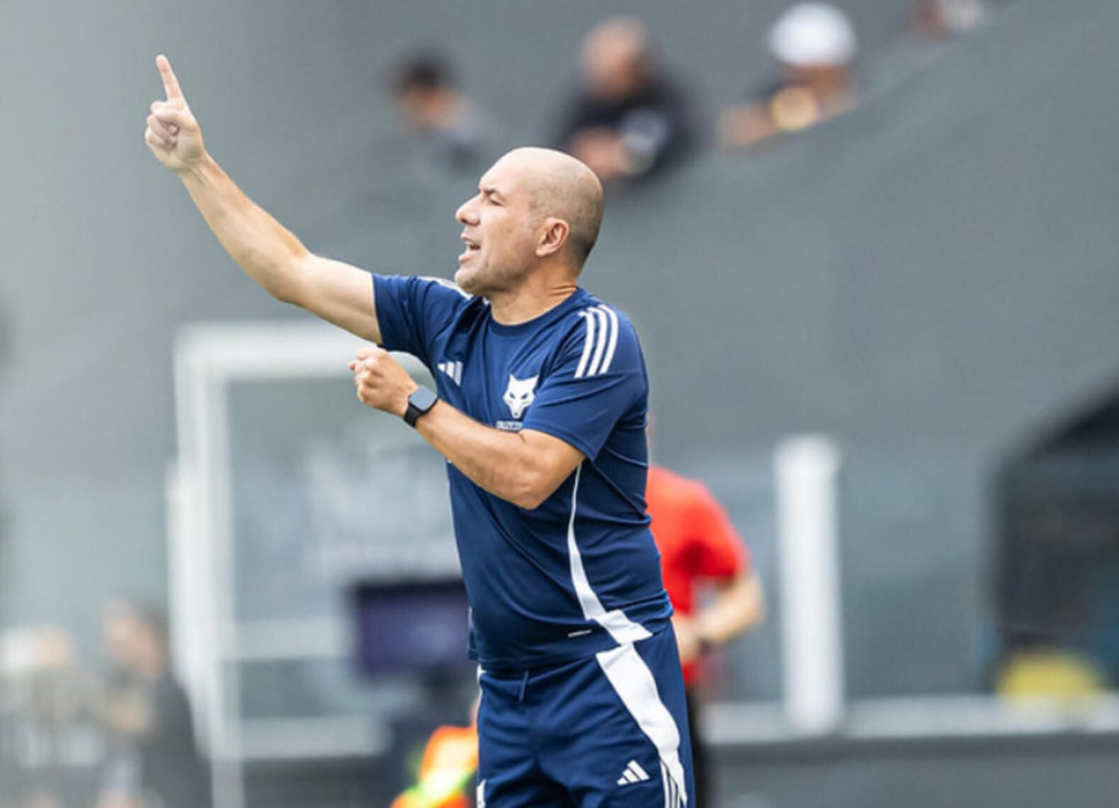 Imagem da noticia Jardim analisa a escolha por um time B do Cruzeiro na derrota para o Santos