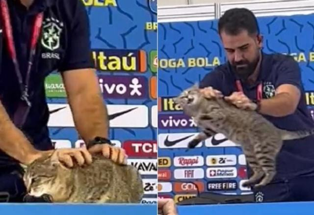 Imagem da noticia Gato rouba cena em entrevista coletiva de Vini Jr, e internet reage