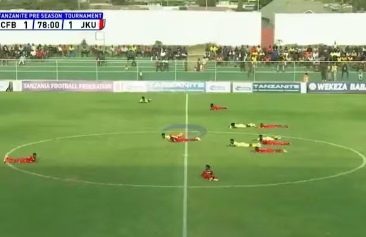 Imagem da noticia Ataque de abelhas interrompe partida de futebol na Tanzânia