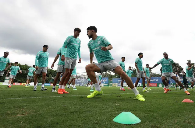 Palmeiras deve ter um novo desfalque para o duelo contra o Fluminense Palmeiras deve ter um novo desfalque para o duelo contra o Fluminense