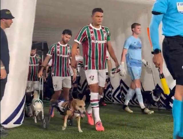 Jogadores de Fluminense e São Paulo entram em campo com cães; entenda Jogadores de Fluminense e São Paulo entram em campo com cães; entenda