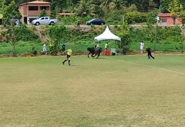 Imagem da noticia Boi invade campo e gera confusão em partida na Paraíba; assista vídeo