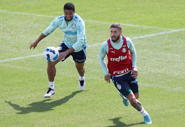 Imagem da noticia Palmeiras x Deportivo Táchira: onde assistir, prováveis escalações e desfalques