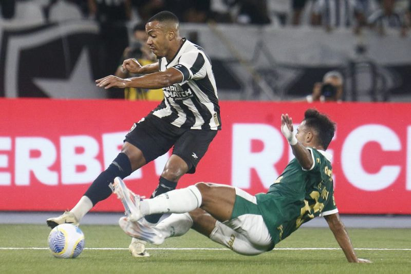 Imagem da noticia Botafogo enfrenta o Palmeiras com casa cheia e tenta abrir vantagem pela Libertadores