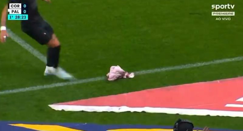 Imagem da noticia Torcida do Corinthians arremessa cabeça de porco durante partida contra o Palmeiras